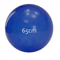 Gymnastic Ball 65CM 