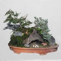 Landscape Bonsai (Fukein Tea and Juniper)