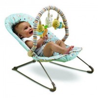 Fisher Price R9571