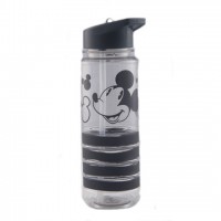 Micky Sweet Friends Water Bottle