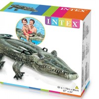 Intex Crocodile Swiming Tube 
