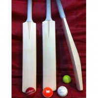 Plain Pakistani Cricket Bat