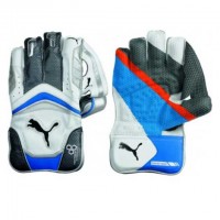 PUMA 4000 Wicket Keeper Gloves