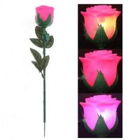 Romantic LED Rose