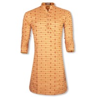 Puja  Exclusive Printed Cotton Punjabi SW168