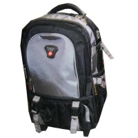 Power 18" and 20" Trolley Backpack Ash