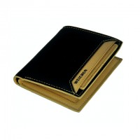 Weichen Wallet with Removable part 1816