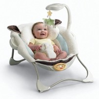Fisher Price My Little Lamb Deluxe Infant Seat MCH022