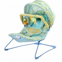 Mastela Soothing Vibrations Bouncer 6692