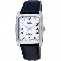 Q&Q P332J304Y Men's Watch 