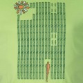 Flower Round Neck T-Shirt MG16 Apple Green