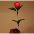 Romantic LED Rose