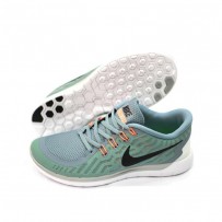 Nike Free 5.0 Keds Replica FFS174	